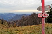 91 Dalla Sella del Sornadello (1530 m) sul sent. 595 rientro alla Forcella di Bura